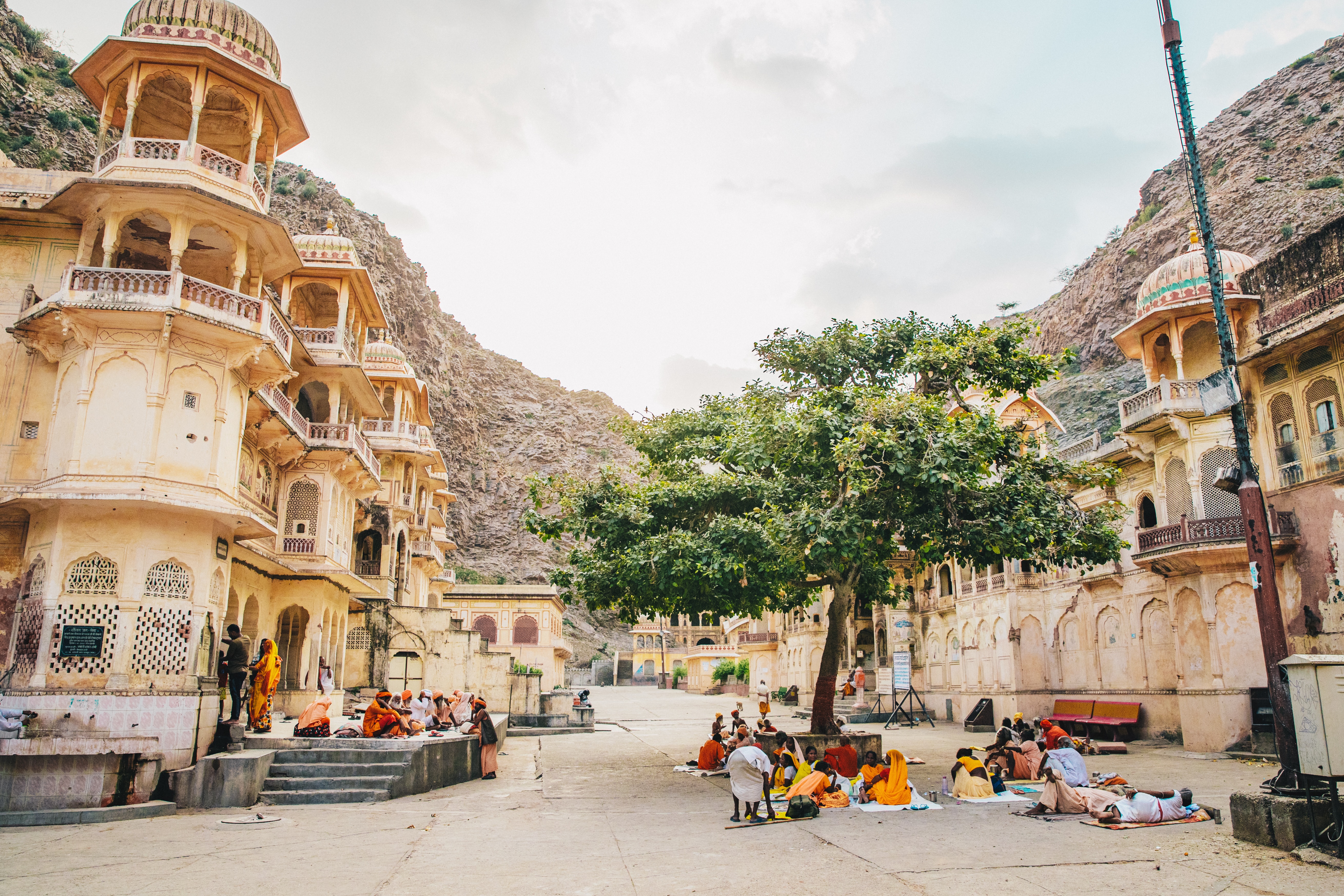 En août 2021, des habitants de Jaipur, dans la province indienne du Rajastán, se ressemblent sous un arbre. © Jannes Jacobs / Unsplash •