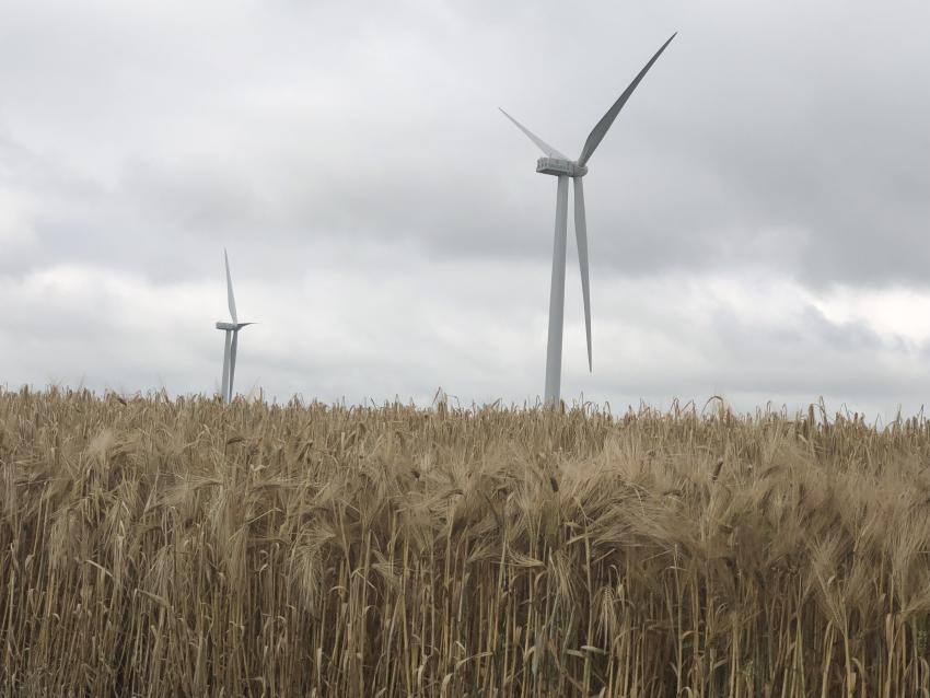 Dans le Poitou, une SCIC cherche à relocaliser la production énergétique