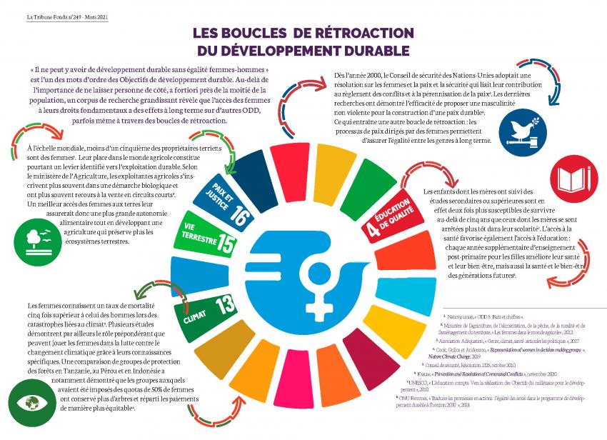 Les boucles de rétroaction du développement durable