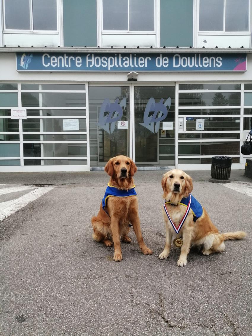Au centre hospitalier de Doullens, deux chiens comme alliés [Initiative]