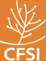 Comité Français pour la Solidarité Internationale (CFSI)